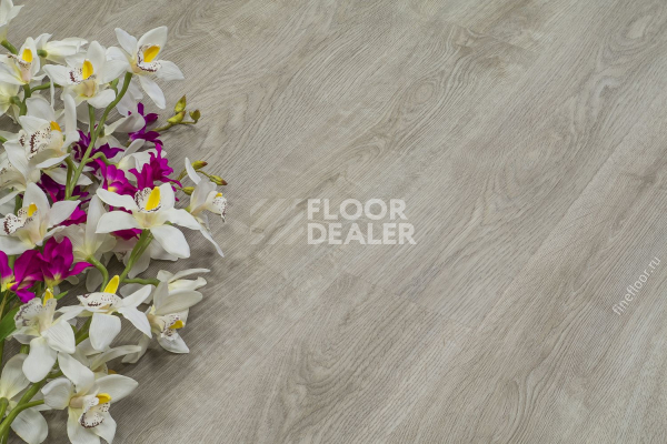 Кварцвиниловые полы FineFloor FF-1900 Rich 1979 Дуб Малага фото 1 | FLOORDEALER